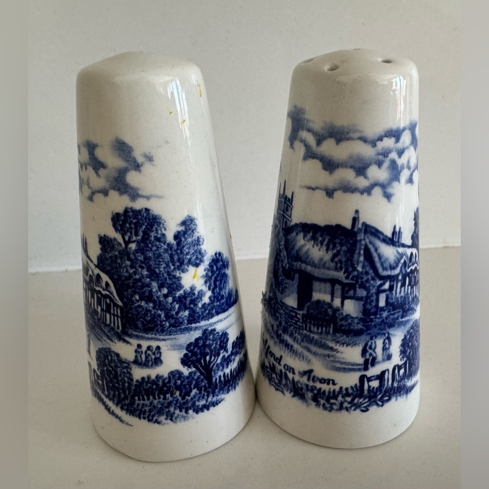 Vintage Ridgway Shakespeare's Country salt pepper Ironstone England party dining